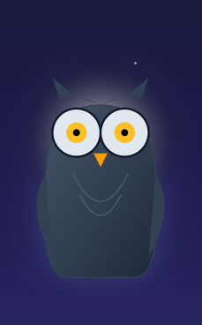 Midnight Owl